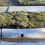 Install a french drain