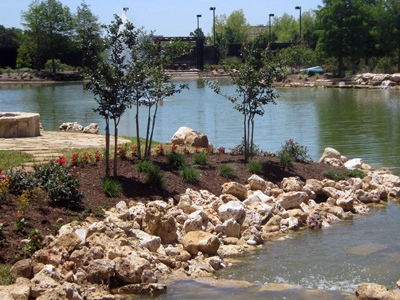 Backyard landscape design with decorative pathway