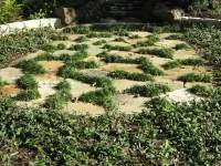 Oklahoma Flagstone & Dwarf Mondo Grass