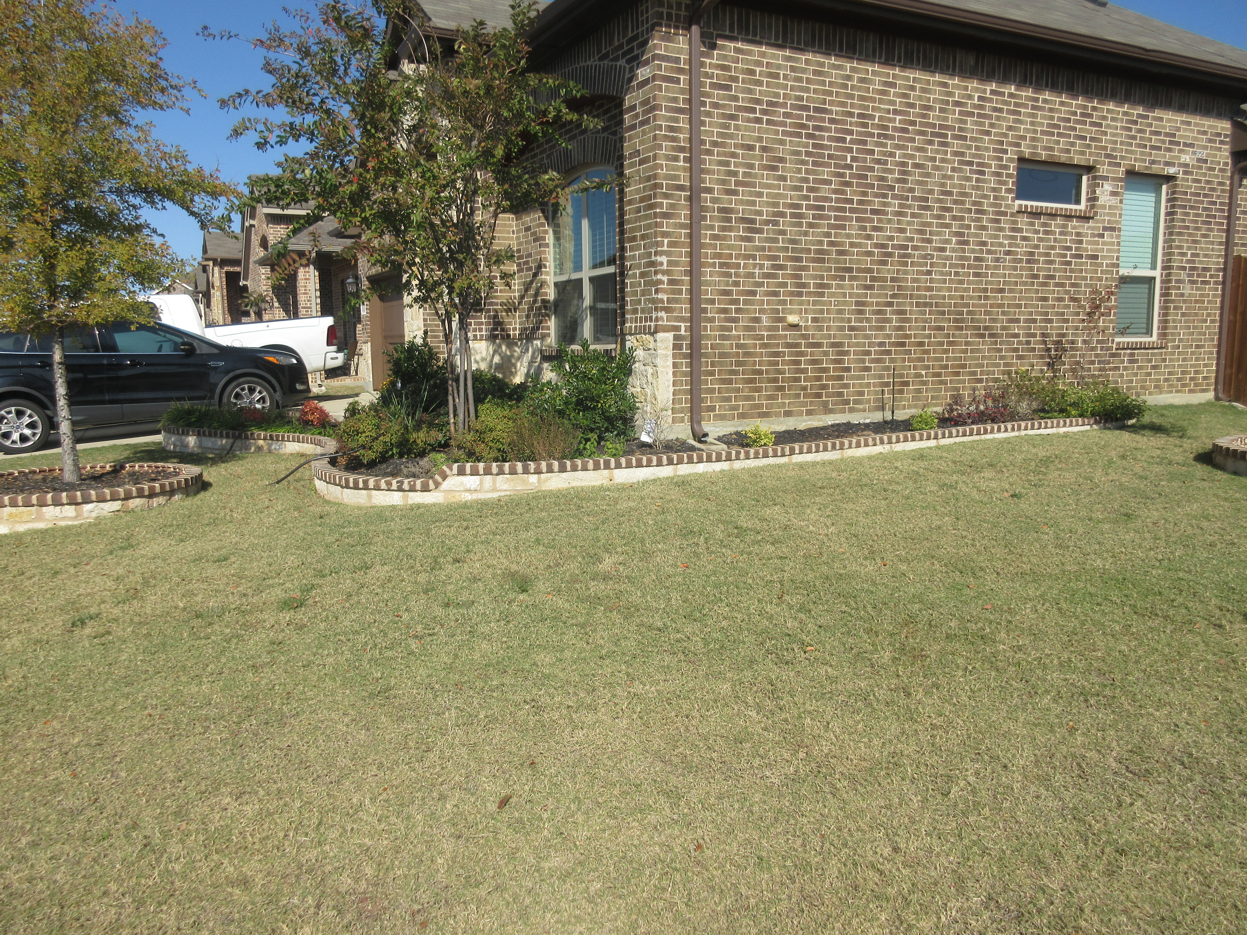 Wilson Landscape