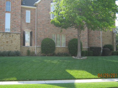 Residential landscaping near me in Lewisville
