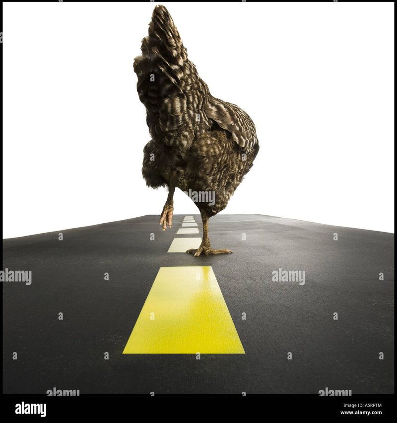 Spain - jugar chicken road